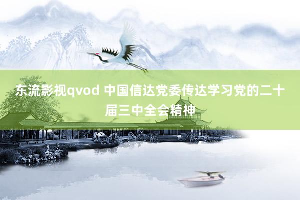 东流影视qvod 中国信达党委传达学习党的二十届三中全会精神