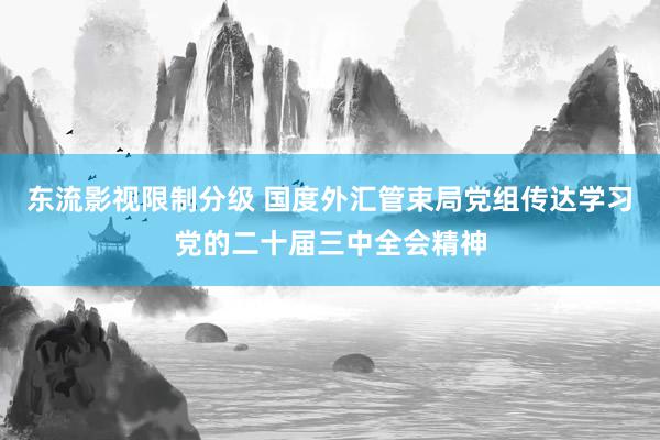 东流影视限制分级 国度外汇管束局党组传达学习党的二十届三中全会精神