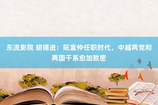 东流影院 胡锡进：阮富仲任职时代，中越两党和两国干系愈加致密