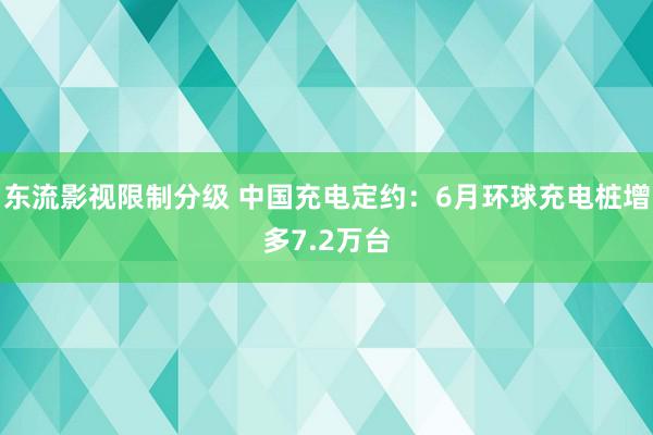 东流影视限制分级 中国充电定约：6月环球充电桩增多7.2万台