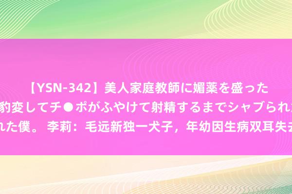 【YSN-342】美人家庭教師に媚薬を盛ったら、ドすけべぇ先生に豹変してチ●ポがふやけて射精するまでシャブられた僕。 李莉：毛远新独一犬子，年幼因生病双耳失去听力，如今成为艺术家