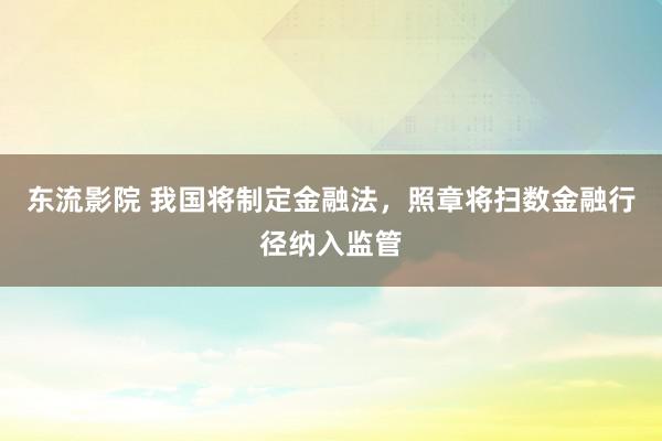 东流影院 我国将制定金融法，照章将扫数金融行径纳入监管