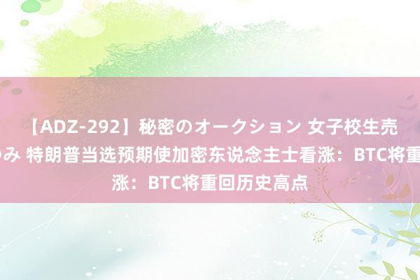 【ADZ-292】秘密のオークション 女子校生売ります なつみ 特朗普当选预期使加密东说念主士看涨：BTC将重回历史高点