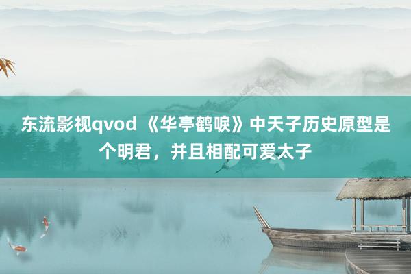 东流影视qvod 《华亭鹤唳》中天子历史原型是个明君，并且相配可爱太子