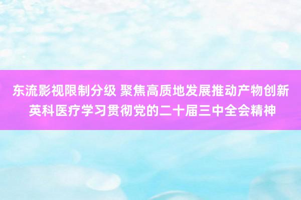 东流影视限制分级 聚焦高质地发展推动产物创新 英科医疗学习贯彻党的二十届三中全会精神