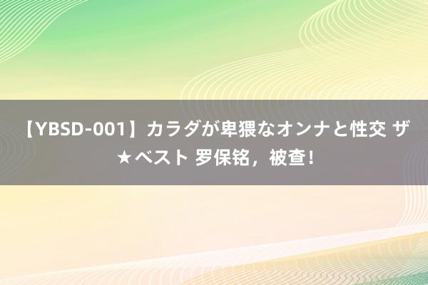 【YBSD-001】カラダが卑猥なオンナと性交 ザ★ベスト 罗保铭，被查！