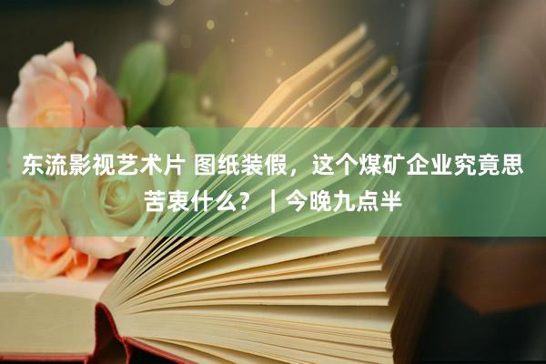 东流影视艺术片 图纸装假，这个煤矿企业究竟思苦衷什么？｜今晚九点半