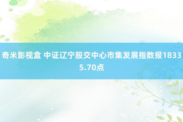 奇米影视盒 中证辽宁股交中心市集发展指数报18335.70点