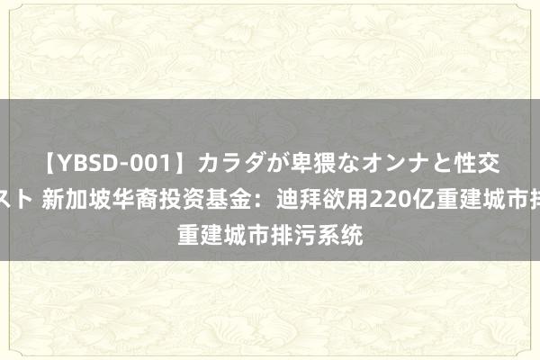 【YBSD-001】カラダが卑猥なオンナと性交 ザ★ベスト 新加坡华裔投资基金：迪拜欲用220亿重建城市排污系统