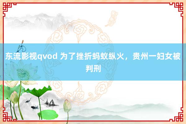 东流影视qvod 为了挫折蚂蚁纵火，贵州一妇女被判刑