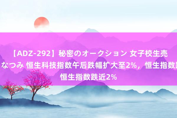 【ADZ-292】秘密のオークション 女子校生売ります なつみ 恒生科技指数午后跌幅扩大至2%，恒生指数跌近2%