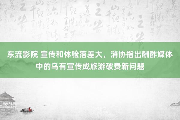 东流影院 宣传和体验落差大，消协指出酬酢媒体中的乌有宣传成旅游破费新问题