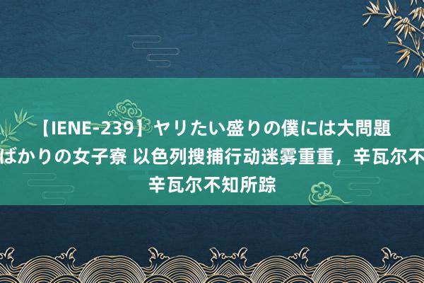 【IENE-239】ヤリたい盛りの僕には大問題！裸族ばかりの女子寮 以色列搜捕行动迷雾重重，辛瓦尔不知所踪