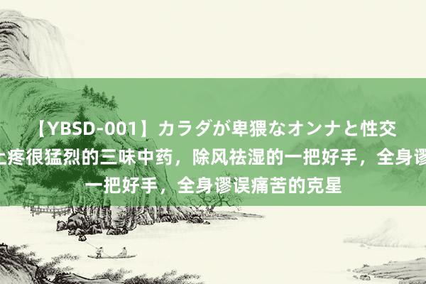 【YBSD-001】カラダが卑猥なオンナと性交 ザ★ベスト 止疼很猛烈的三味中药，除风祛湿的一把好手，全身谬误痛苦的克星