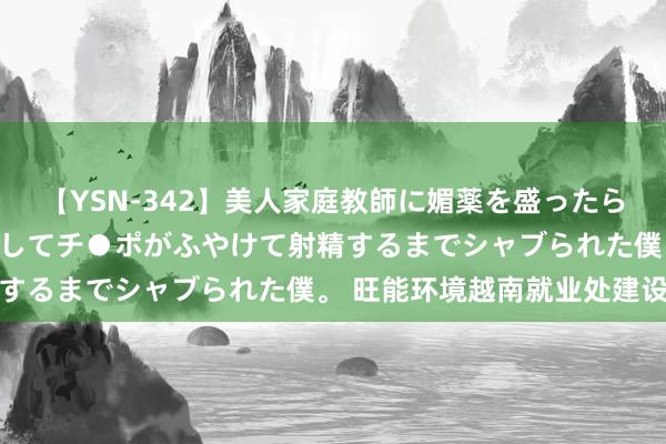 【YSN-342】美人家庭教師に媚薬を盛ったら、ドすけべぇ先生に豹変してチ●ポがふやけて射精するまでシャブられた僕。 旺能环境越南就业处建设