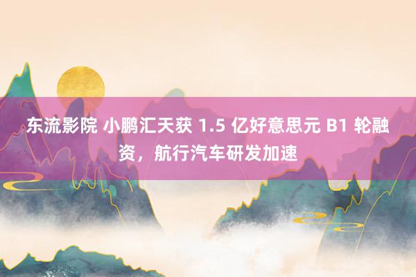 东流影院 小鹏汇天获 1.5 亿好意思元 B1 轮融资，航行汽车研发加速