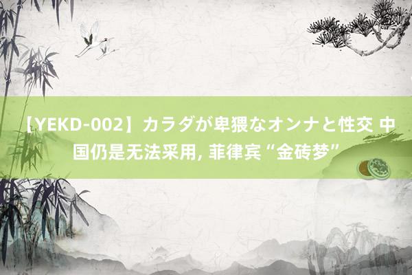 【YEKD-002】カラダが卑猥なオンナと性交 中国仍是无法采用, 菲律宾“金砖梦”