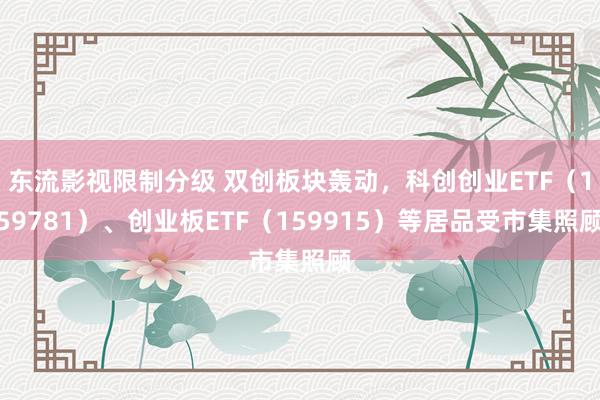 东流影视限制分级 双创板块轰动，科创创业ETF（159781）、创业板ETF（159915）等居品受市集照顾