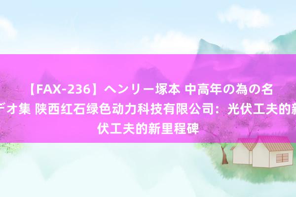 【FAX-236】ヘンリー塚本 中高年の為の名作裏ビデオ集 陕西红石绿色动力科技有限公司：光伏工夫的新里程碑