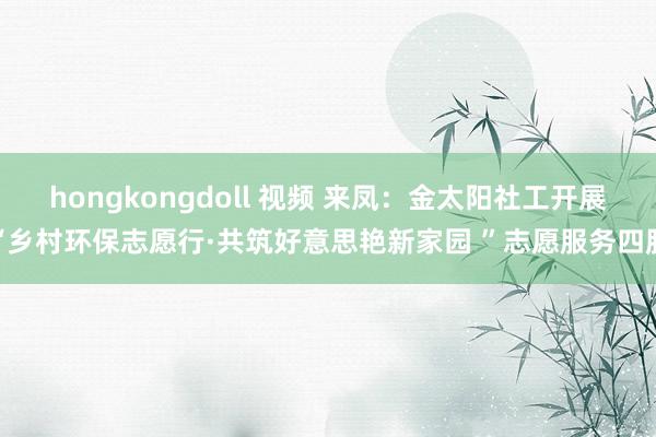 hongkongdoll 视频 来凤：金太阳社工开展“乡村环保志愿行·共筑好意思艳新家园 ”志愿服务四肢