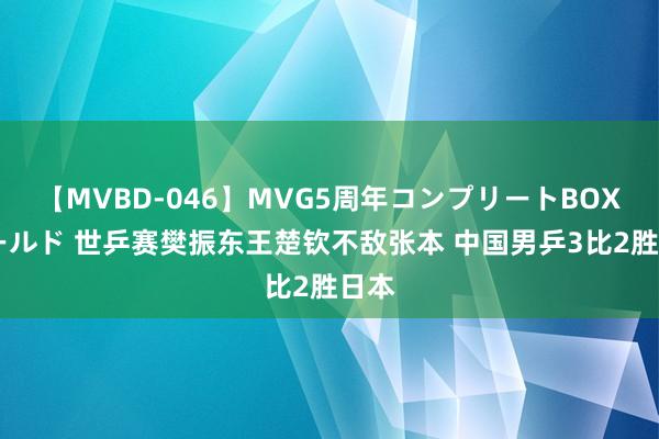 【MVBD-046】MVG5周年コンプリートBOX ゴールド 世乒赛樊振东王楚钦不敌张本 中国男乒3比2胜日本