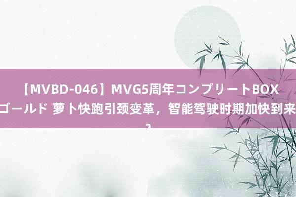 【MVBD-046】MVG5周年コンプリートBOX ゴールド 萝卜快跑引颈变革，智能驾驶时期加快到来？