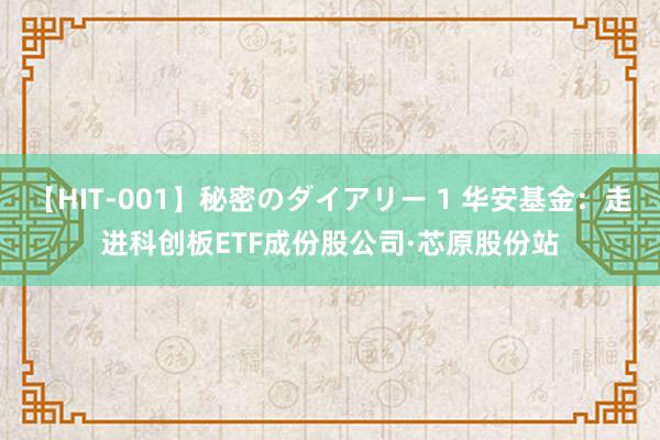 【HIT-001】秘密のダイアリー 1 华安基金：走进科创板ETF成份股公司·芯原股份站