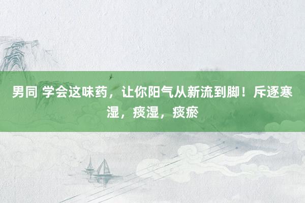 男同 学会这味药，让你阳气从新流到脚！斥逐寒湿，痰湿，痰瘀