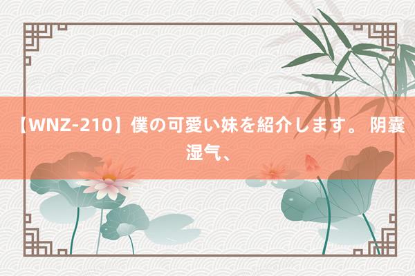 【WNZ-210】僕の可愛い妹を紹介します。 阴囊湿气、