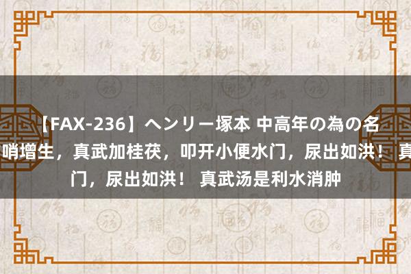 【FAX-236】ヘンリー塚本 中高年の為の名作裏ビデオ集 前哨增生，真武加桂茯，叩开小便水门，尿出如洪！ 真武汤是利水消肿